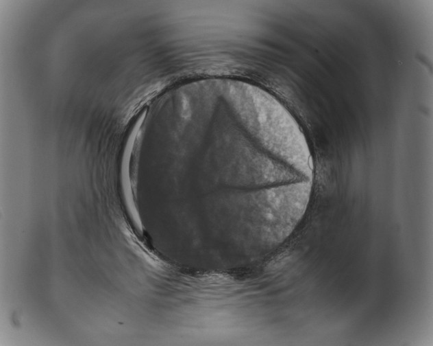 X0000098190397200805221522