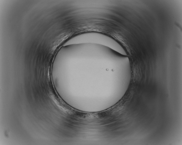 X0000098190398200805221522