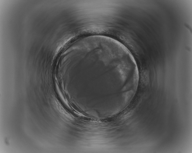 X0000098190399200805221522