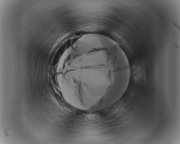 X0000098190400200805221522