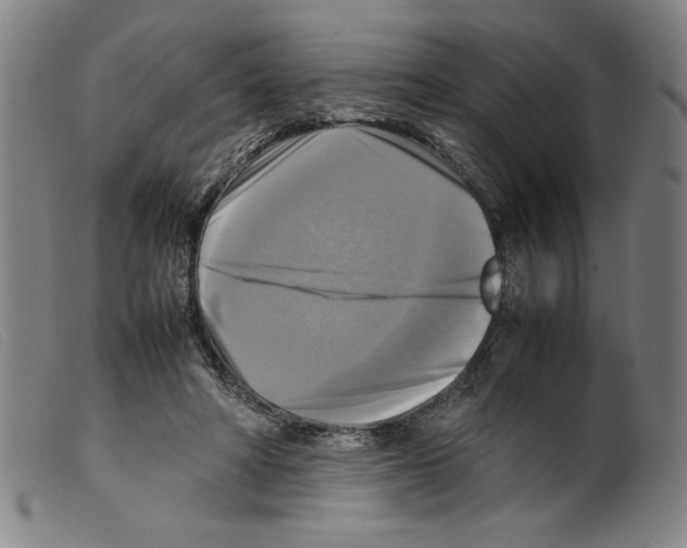 X0000098190402200805221522