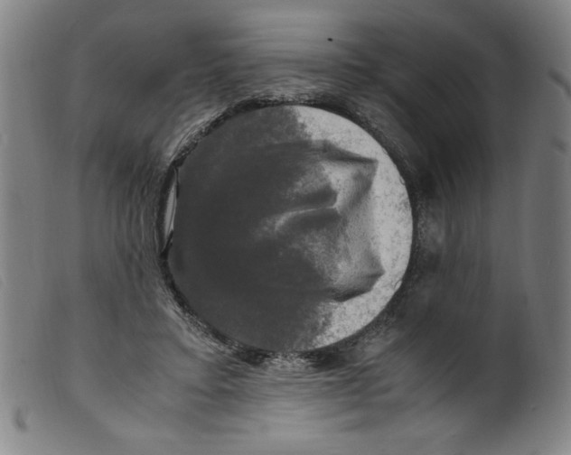 X0000098190403200805221522