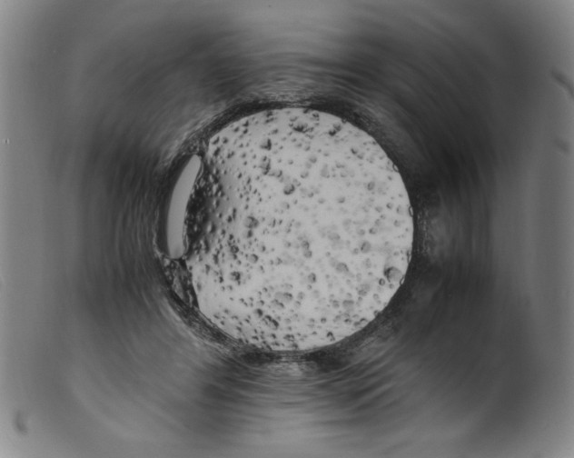 X0000098190404200805221522