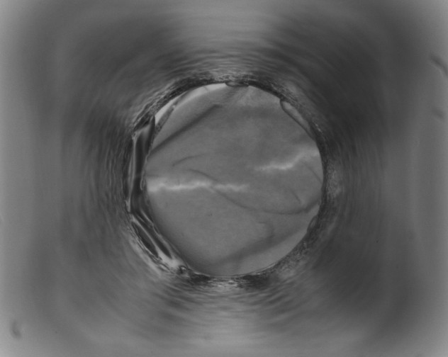 X0000098190405200805221522