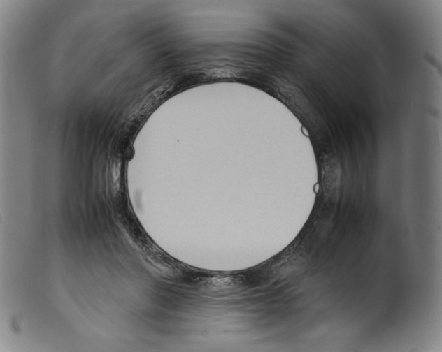 X0000098190406200805221522