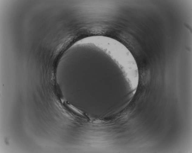 X0000098190407200805221522