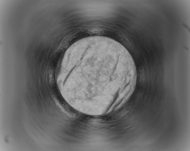 X0000098190408200805221522