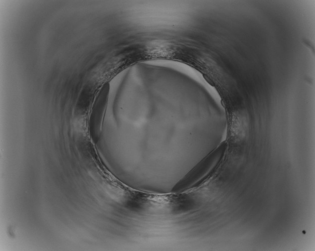 X0000098190409200805221522