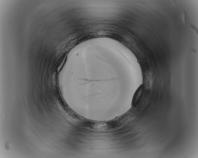 X0000098190410200805221522
