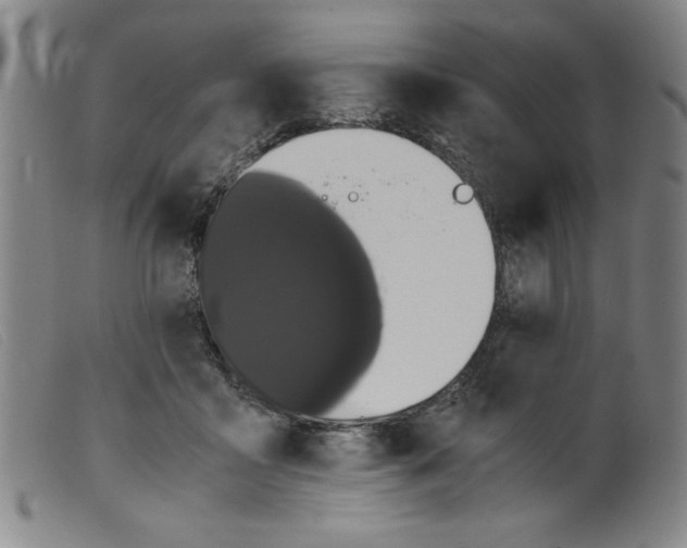 X0000098190411200805221522