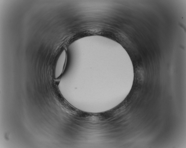 X0000098190412200805221522