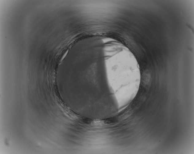 X0000098190413200805221522
