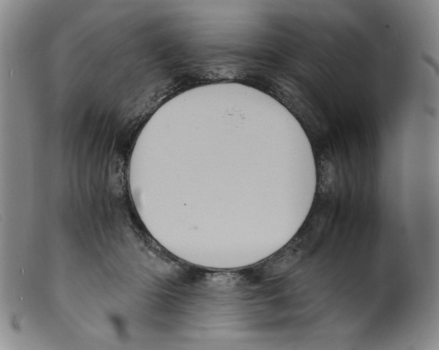 X0000098190414200805221522