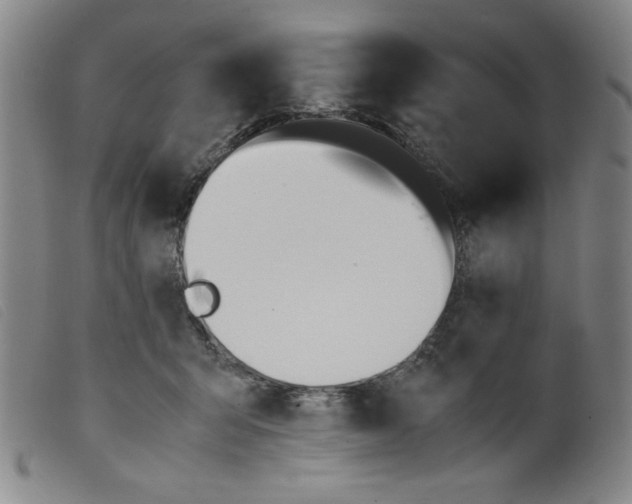 X0000098190415200805221522
