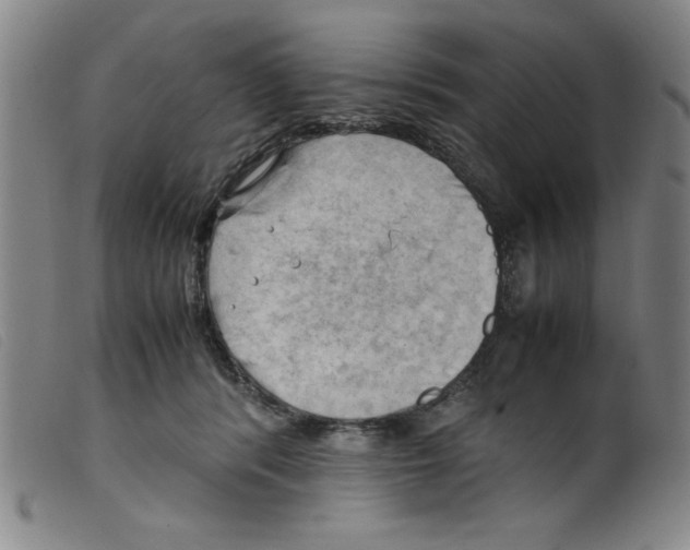 X0000098190416200805221522