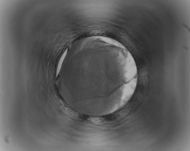 X0000098190417200805221522
