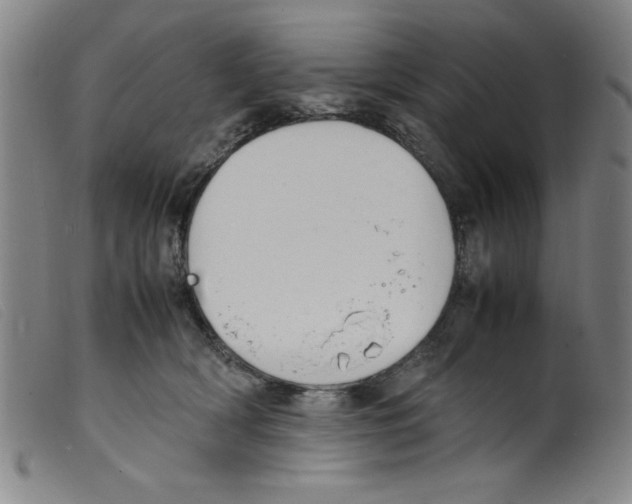 X0000098190418200805221522