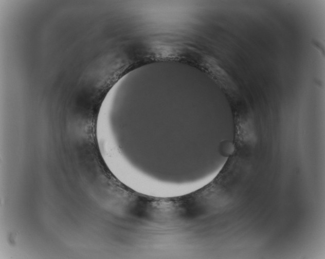 X0000098190419200805221522