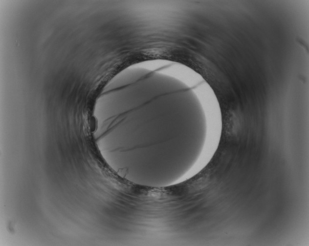 X0000098190420200805221522