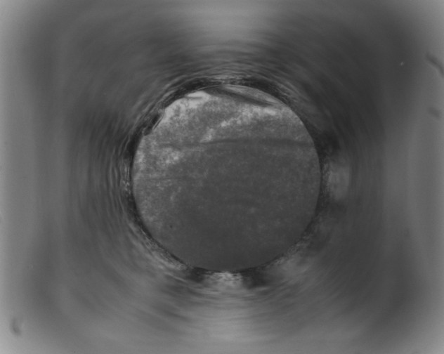 X0000098190421200805221522