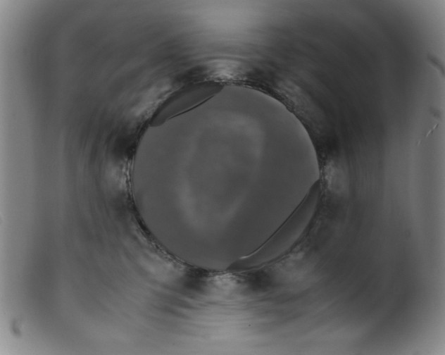 X0000098190423200805221522