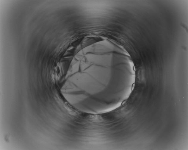 X0000098190424200805221522