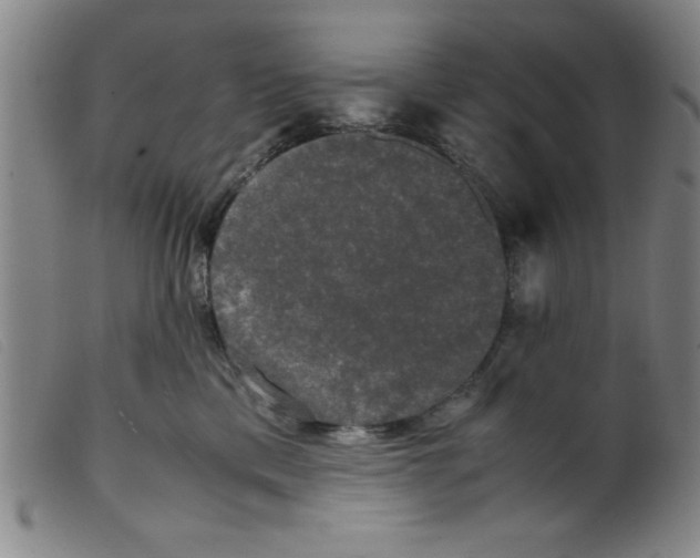 X0000098190425200805221522