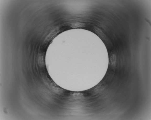 X0000098190426200805221522