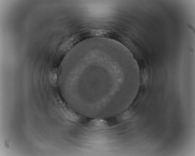 X0000098190427200805221522