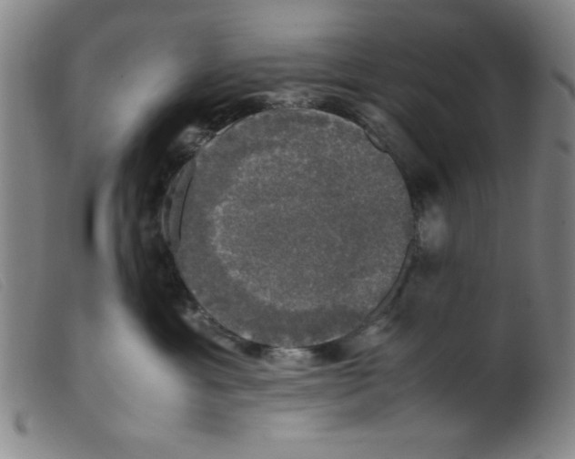 X0000098190429200805221522