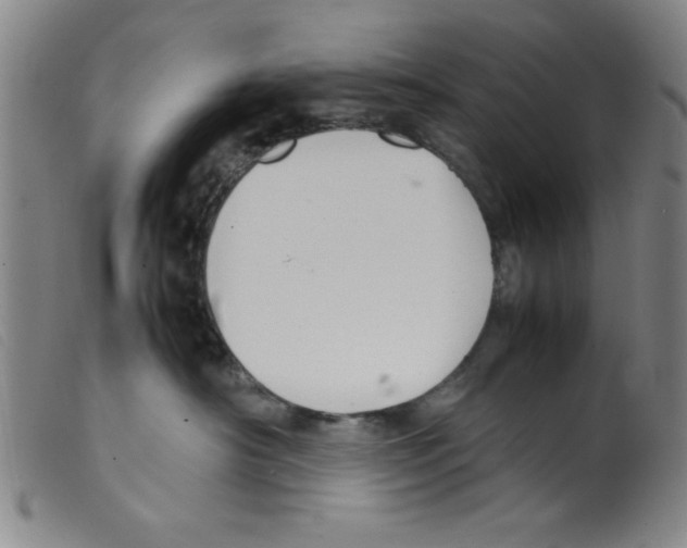 X0000098190430200805221522