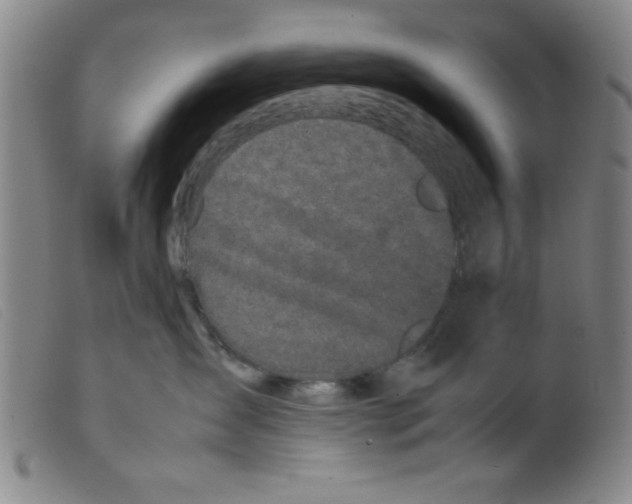 X0000098190431200805221522