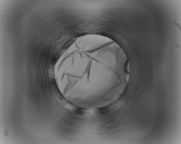 X0000098190432200805221522