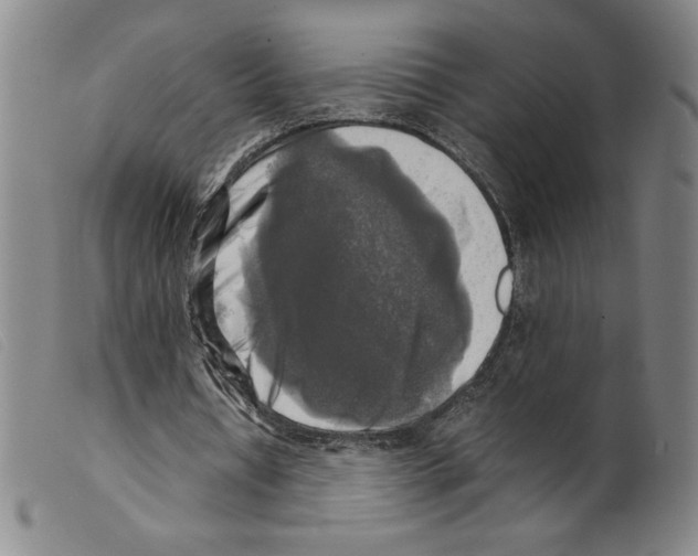 X0000098190434200805221521