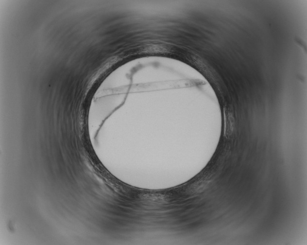 X0000098190435200805221521