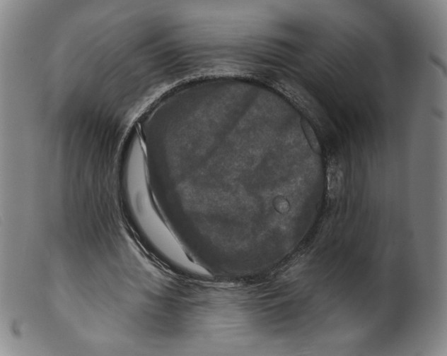 X0000098190436200805221521