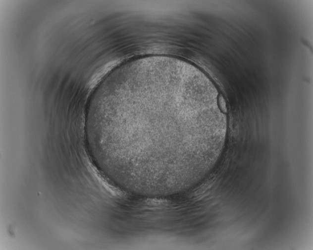 X0000098190437200805221521