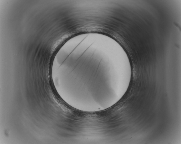 X0000098190438200805221521