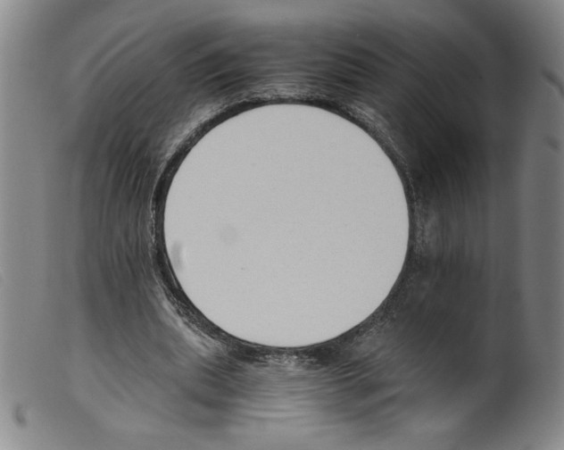 X0000098190439200805221521