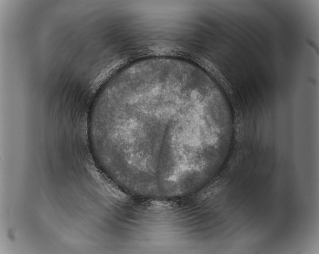 X0000098190442200805221521
