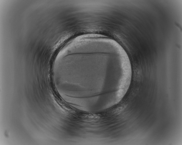X0000098190443200805221521