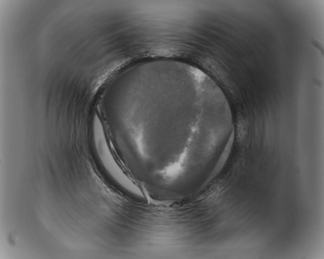 X0000098190444200805221521