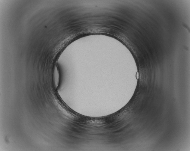 X0000098190445200805221521