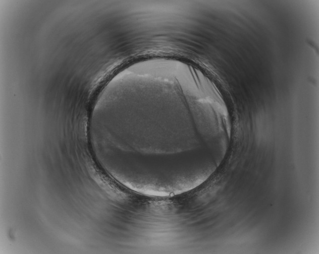 X0000098190446200805221521