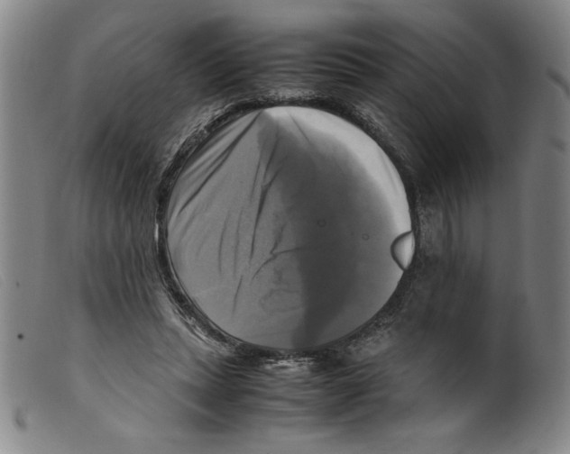 X0000098190447200805221521
