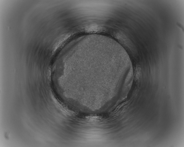 X0000098190448200805221521