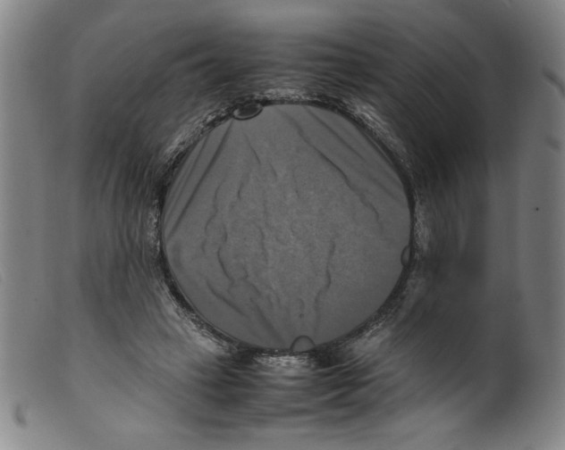 X0000098190449200805221521