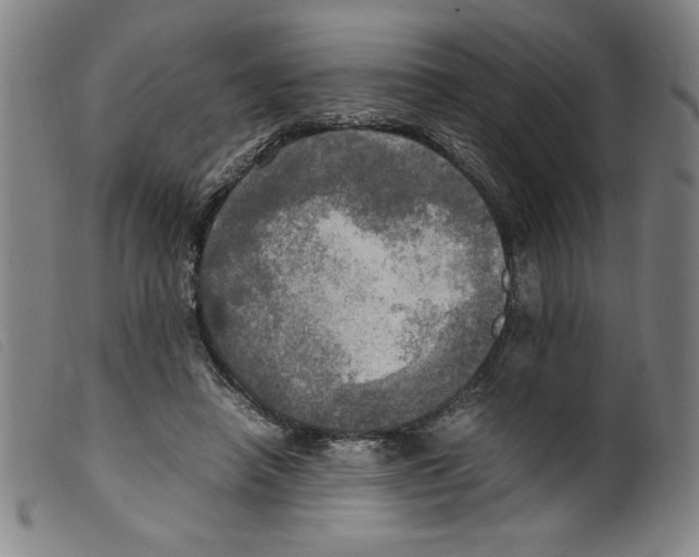 X0000098190450200805221521
