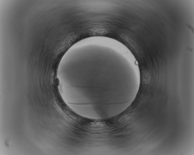 X0000098190451200805221521