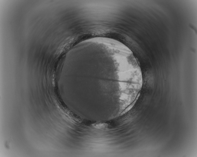 X0000098190452200805221521